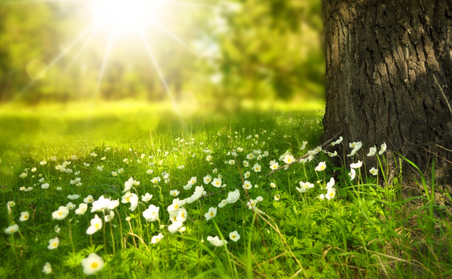 spring.png